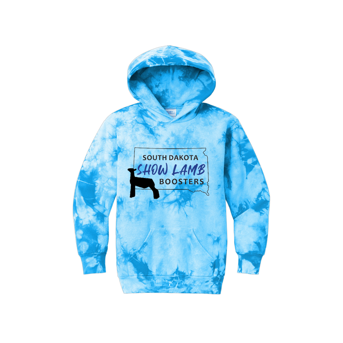 Youth Hoodie